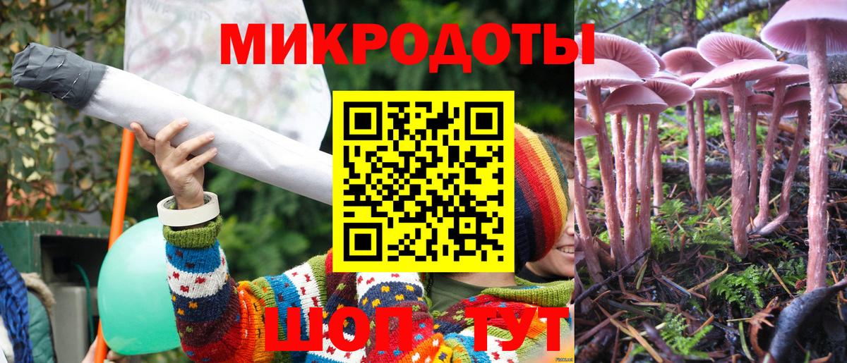 Псилоцибиновые грибы прущие грибы Ейск