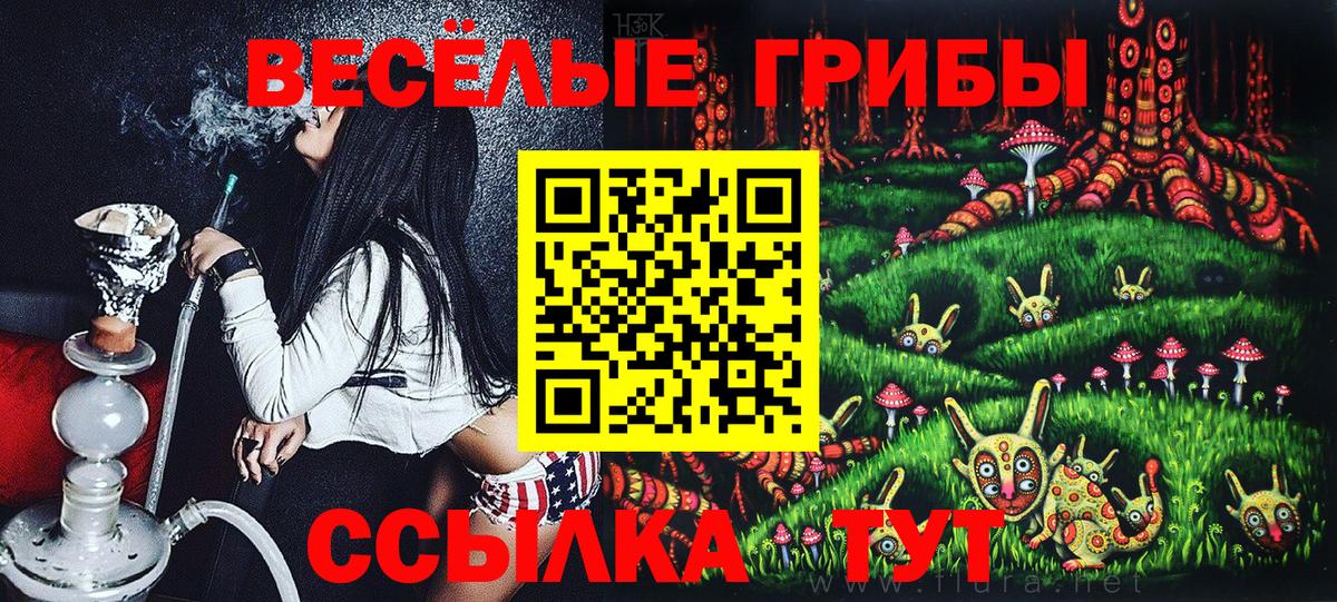 Галлюциногенные грибы мицелий  Вход с VPN  Ейск  Галлюциногенные грибы MAGIC MUSHROOMS 