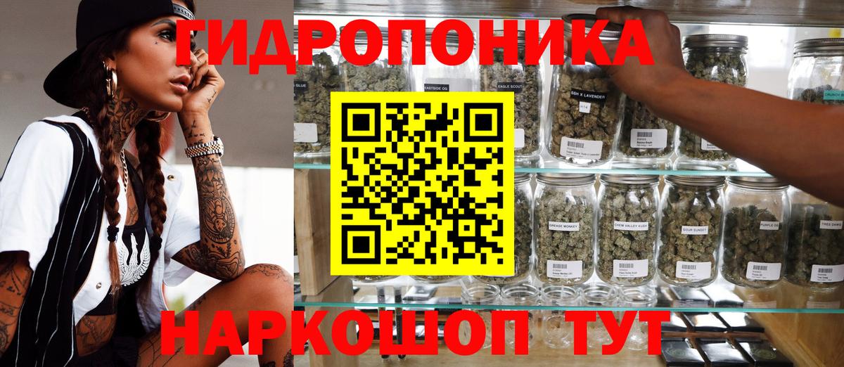 LSD-25 Ейск